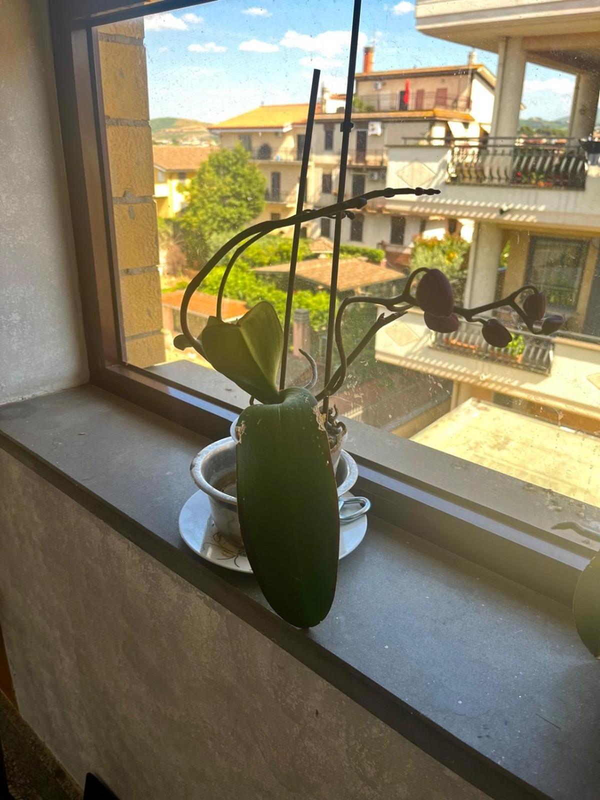 Al Capolinea Hotell Roma Eksteriør bilde